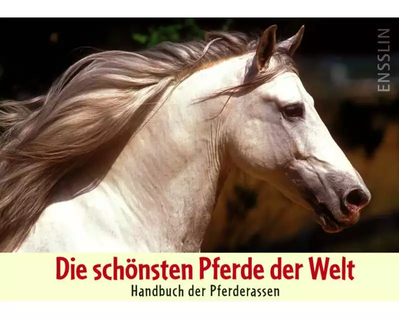 Die schönsten Pferde der Welt