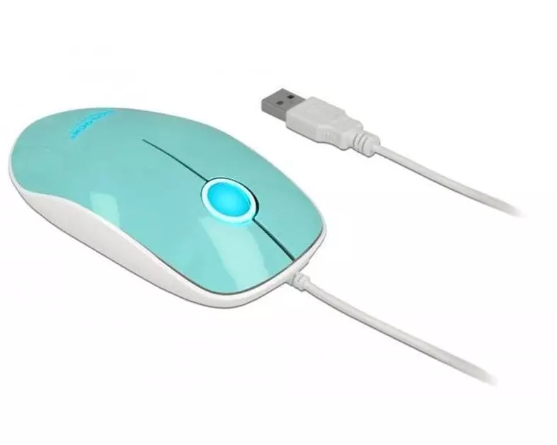 Delock Maus 12538 USB-Typ-A LED türkis