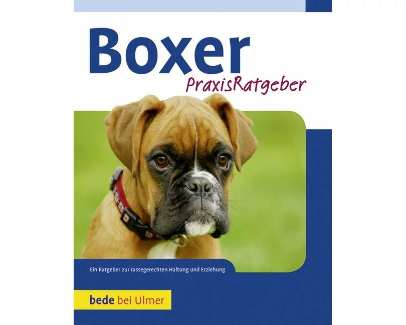 Praxisratgeber Boxer