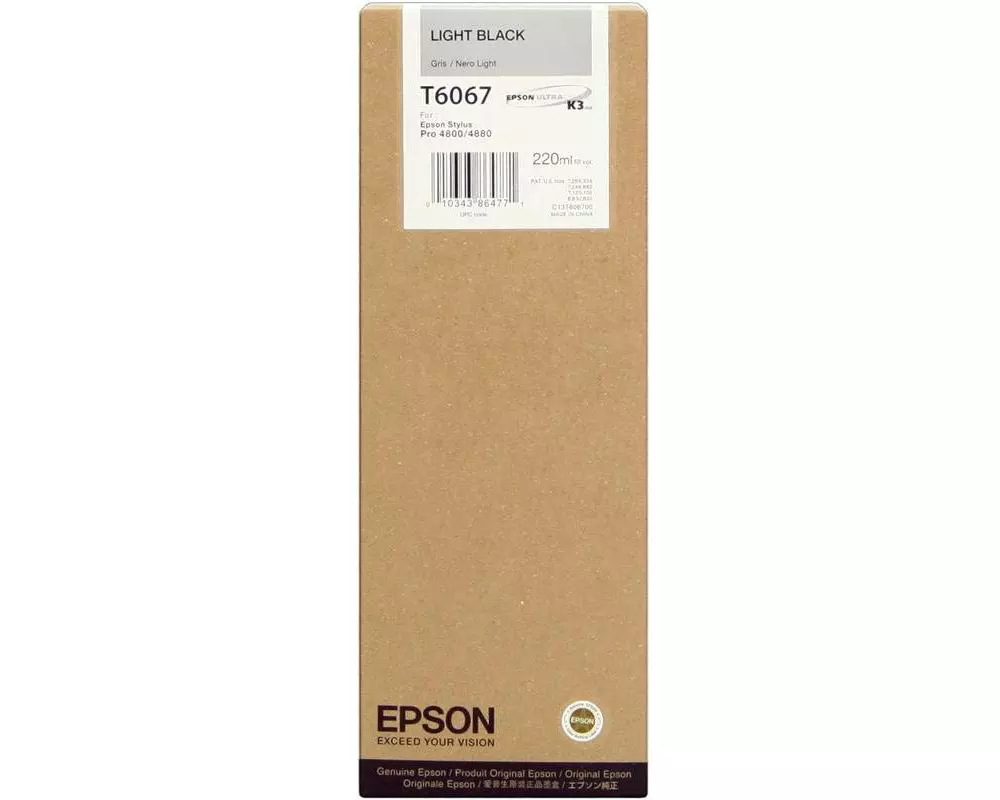 Epson Tinte C13T606700 Light Black