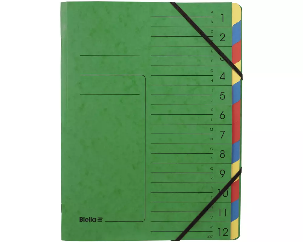 Biella Ordnungsmappe TopColor 12-teilig, Grün