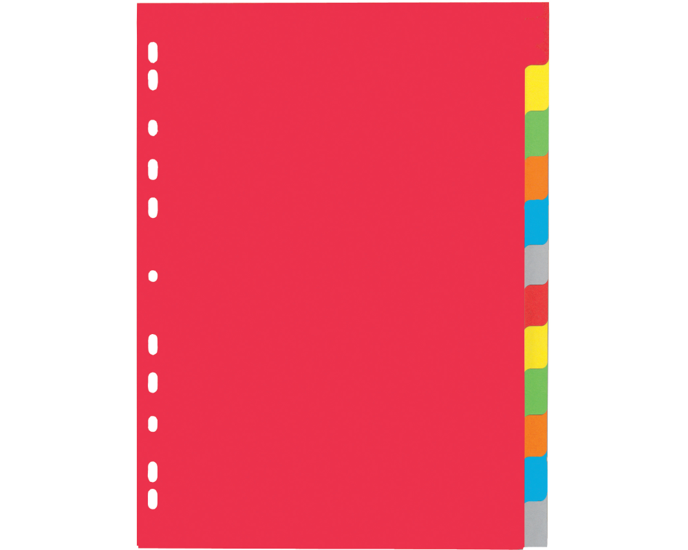 PAGNA Register Karton A4 31121-20 farbig 12-teilig