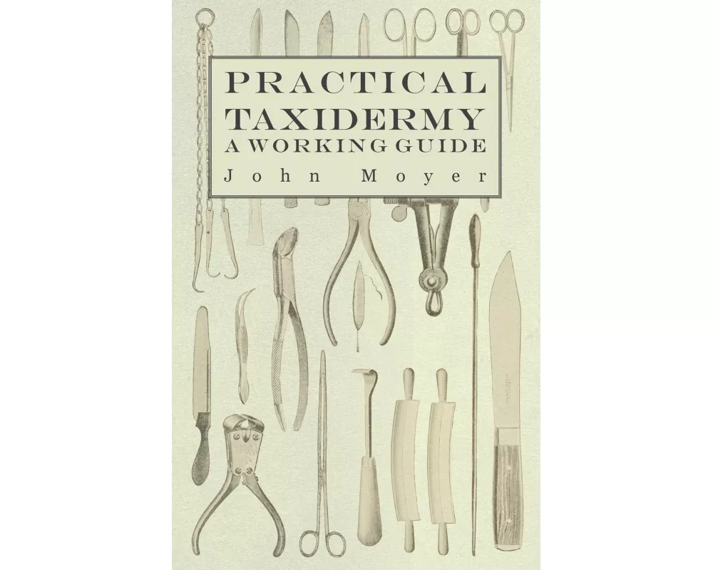 Practical Taxidermy - A Working Guide