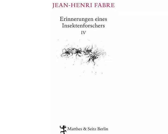 Erinnerungen eines Insektenforschers IV