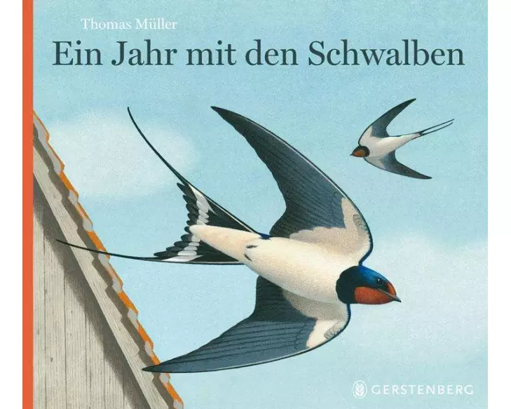 Ein Jahr mit den Schwalben