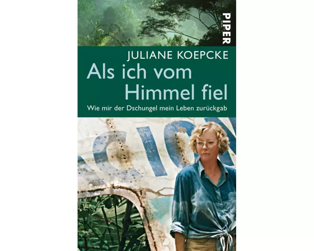 Als ich vom Himmel fiel