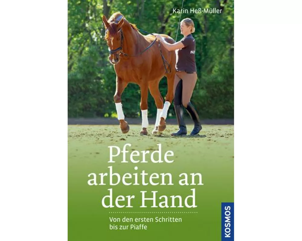 Pferde arbeiten an der Hand