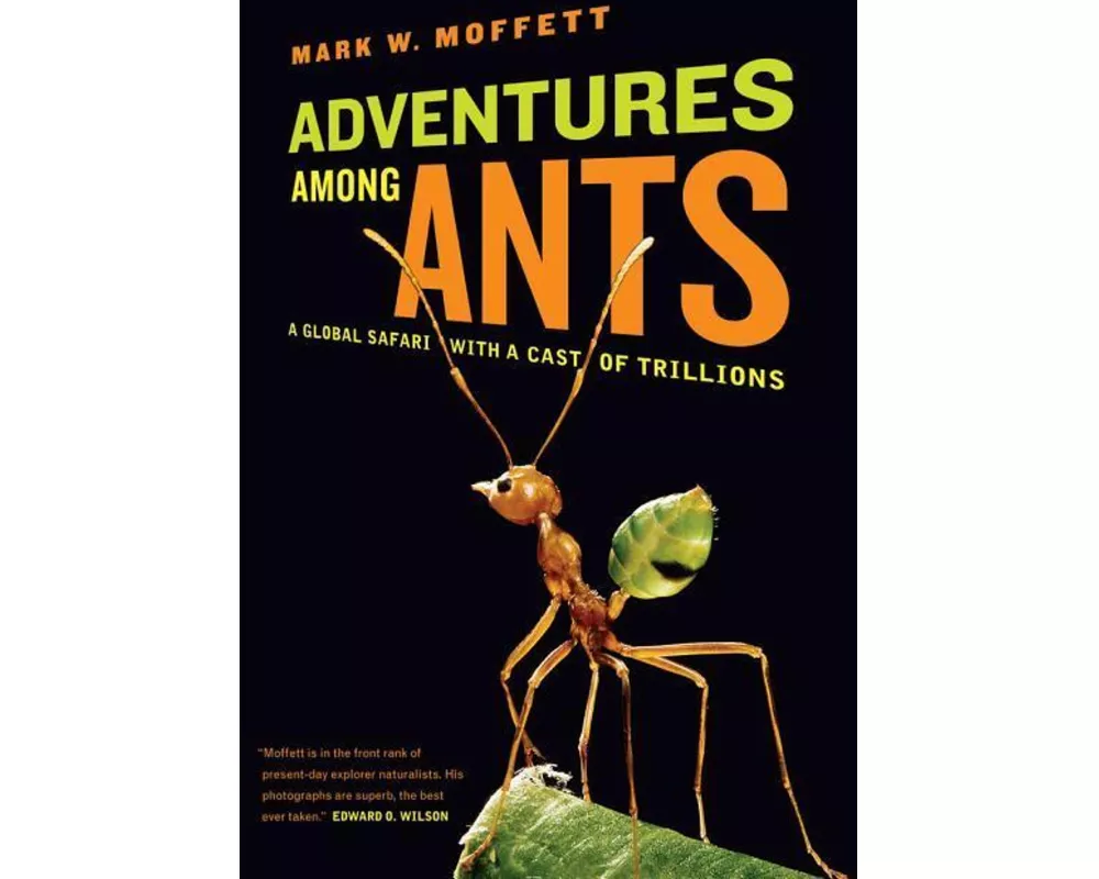 Adventures Among Ants