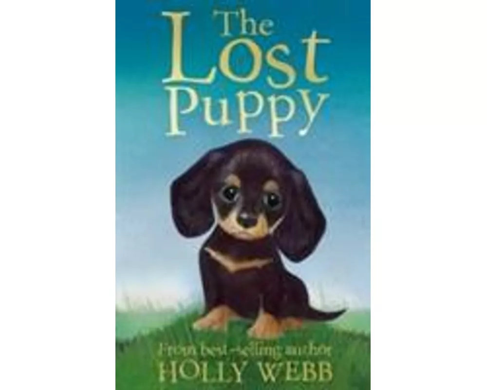 The Lost Puppy