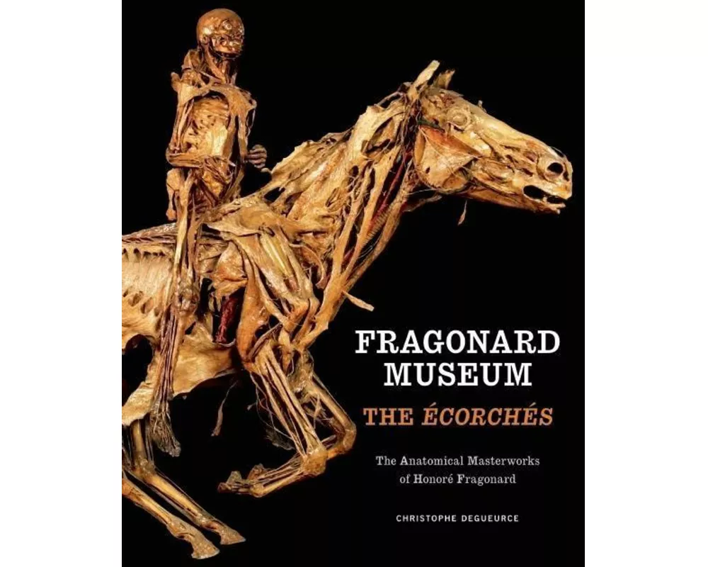 Fragonard Museum: The Écorchés
