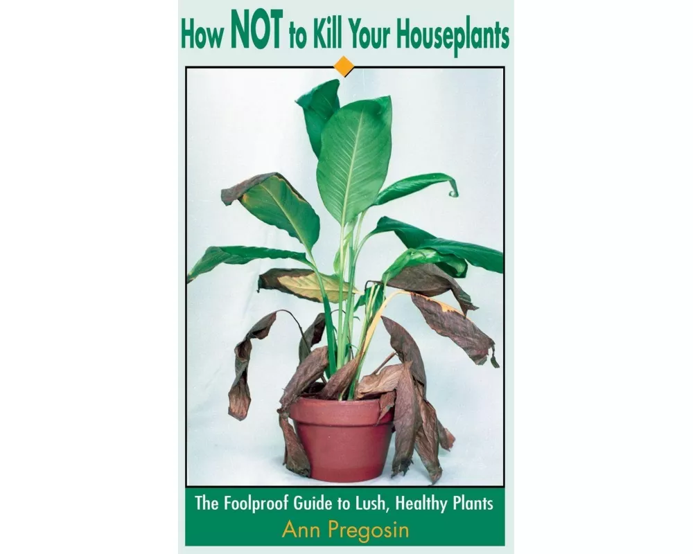 How Not to Kill Your Houseplants