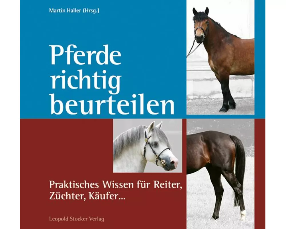 Pferde richtig beurteilen