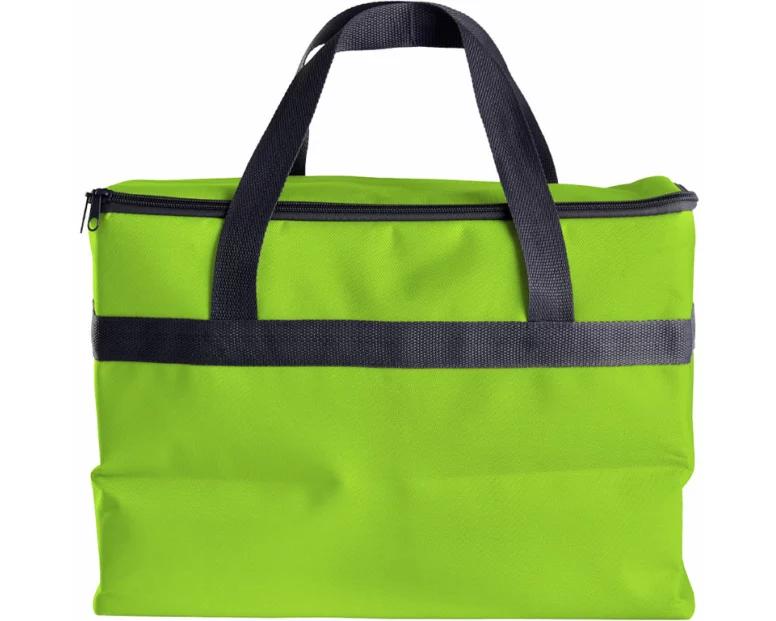 FS-STAR Kühltasche 20L 38x19x29 cm grün