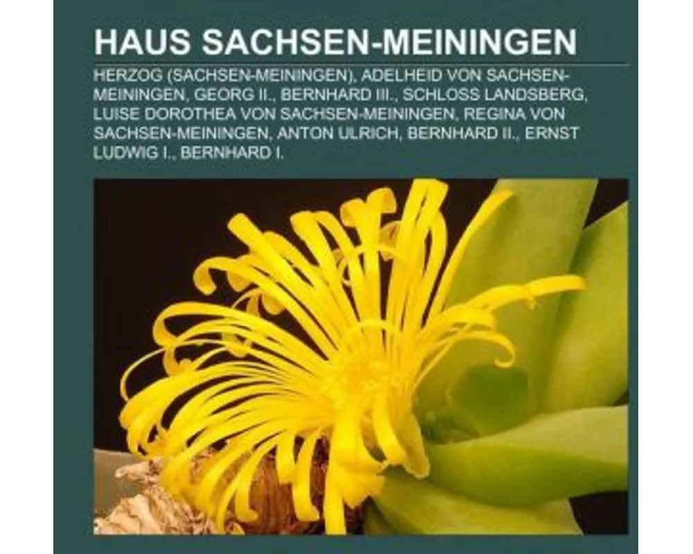 Haus Sachsen-Meiningen