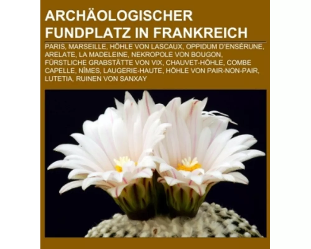 Archäologischer Fundplatz in Frankreich
