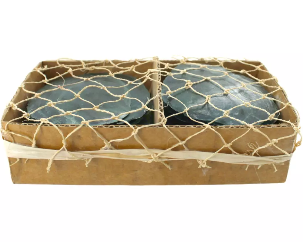 CHALET Aufsteller Capiz Muscheln Grün