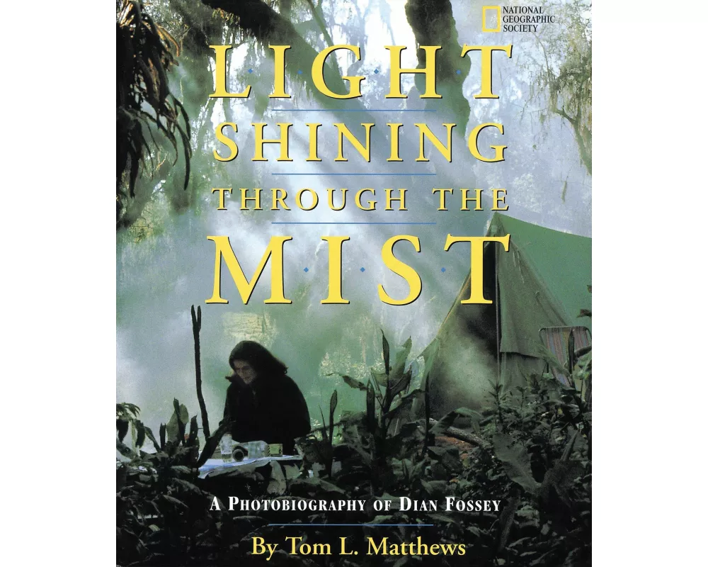 Light Shining Through the Mist