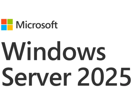 SB WIN SERVER STANDARD 2025