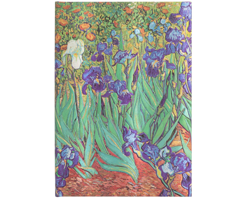 PAPERBLANKS Notizbuch Van Goghs Midi PB8205-7 blanko 144 Seiten