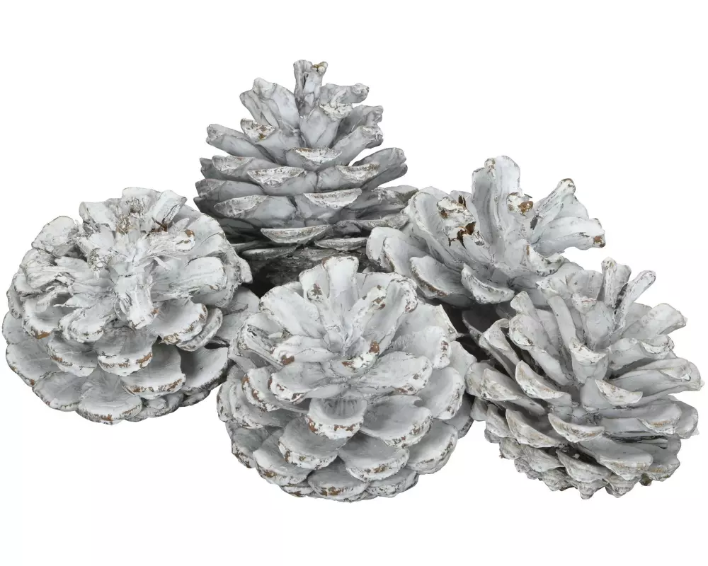 COCON Streudeko Schwarzkieferzapfen, Weiss, 500g