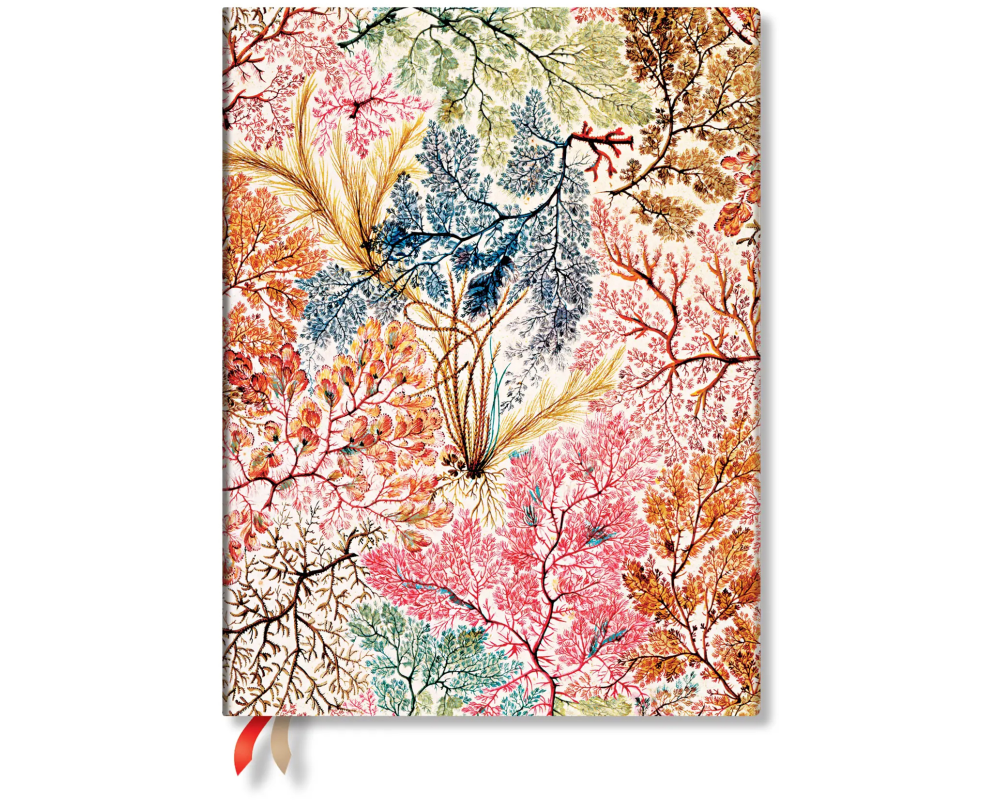 PAPERBLANKS Agenda Anemone 2026 FD0699-3 1W/2S VER Ultra SC DE 18x23cm