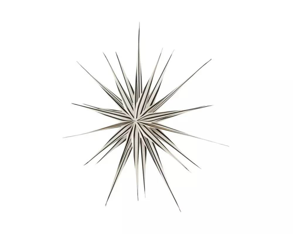 OYOY Aufhänger Stern Toppu Ø 60 cm, Schwarz/Weiss