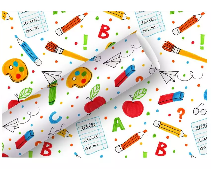 Braun + Company Geschenkpapier Schule 2 m x 70 cm, Mehrfarbig