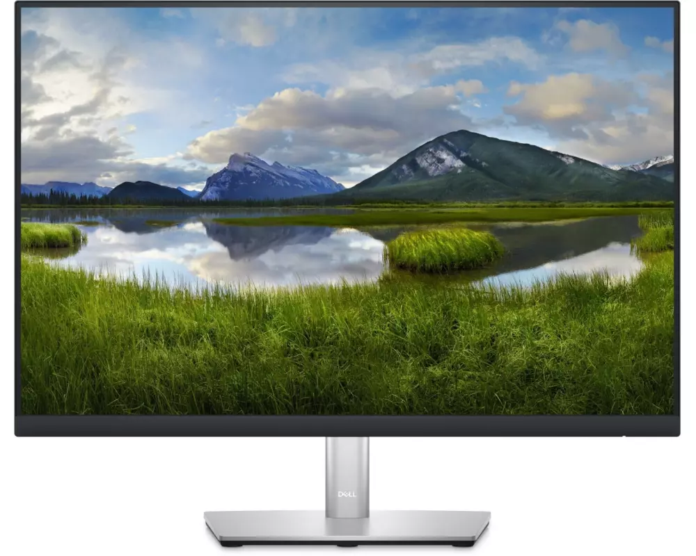 DELL Monitor P2423