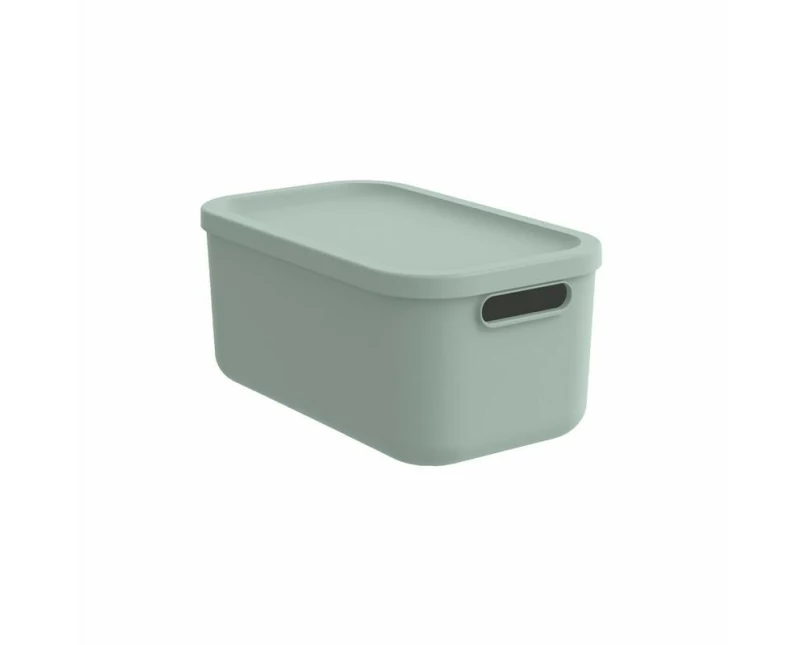 Rotho Babydesign Spielzeugbox KAYO S Sage Green