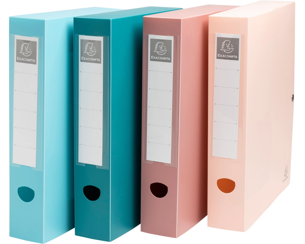 EXACOMPTA Ablagebox Skandi A4 89270E assortiert 60mm