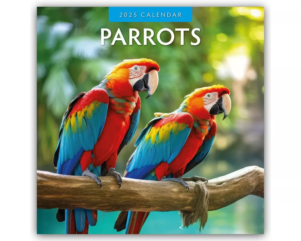 Parrots 2025 Square Wall Calendar