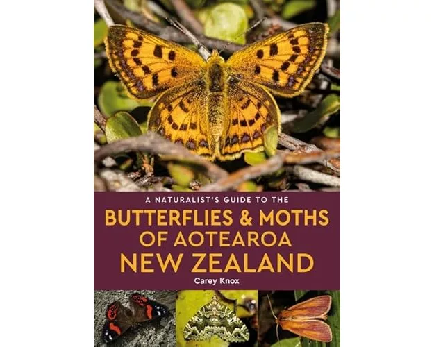 A Naturalist's Guide to the Butterflies & Moths of Aotearoa New Zealand