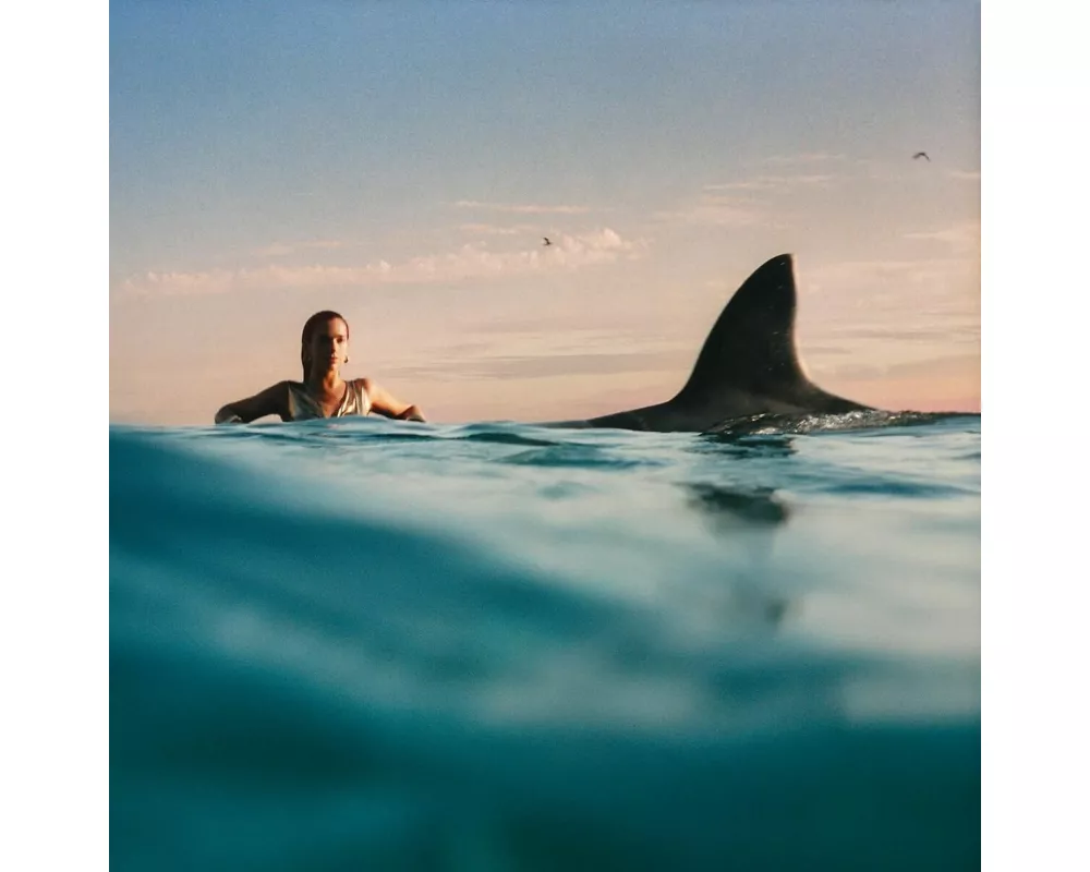 Radical Optimism (Softpack CD)