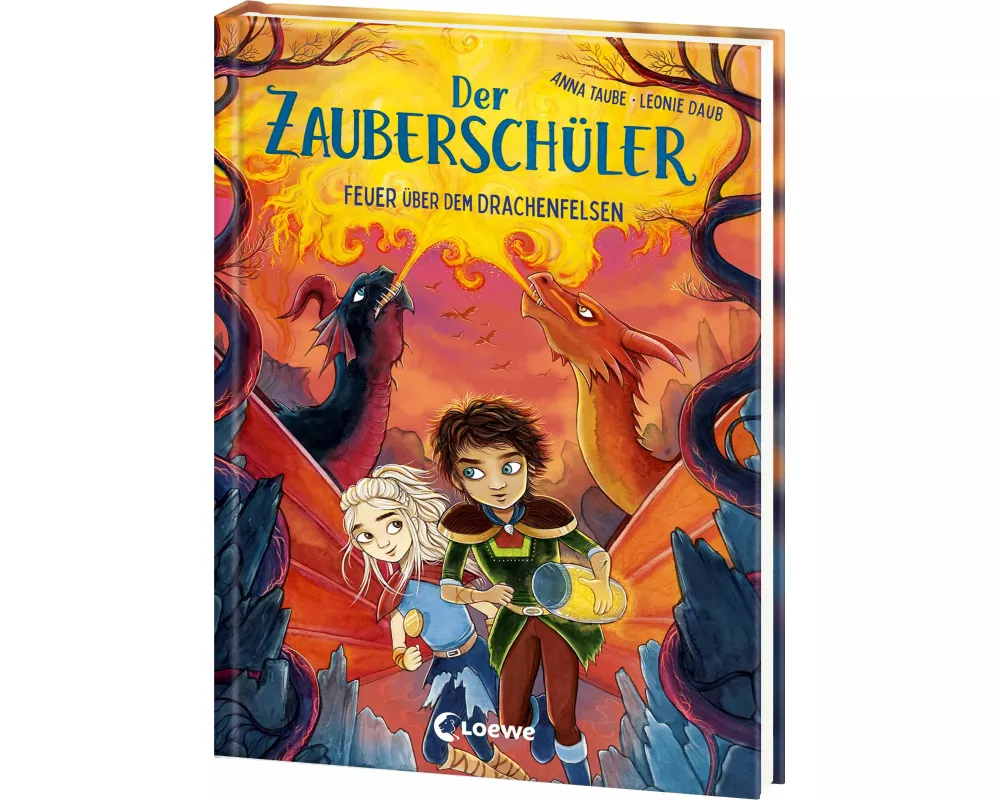 Der Zauberschüler (Band 6) - Feuer über dem Drachenfelsen