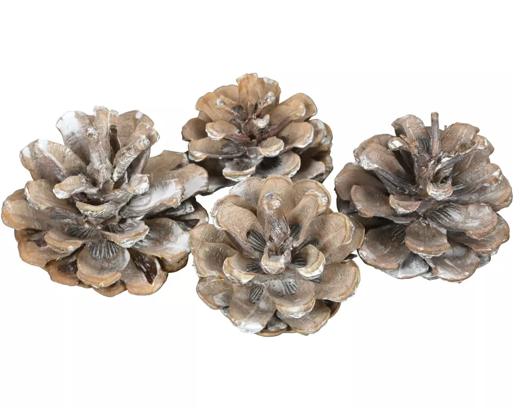 COCON Streudeko Kieferzapfen klein, Weiss, 100g