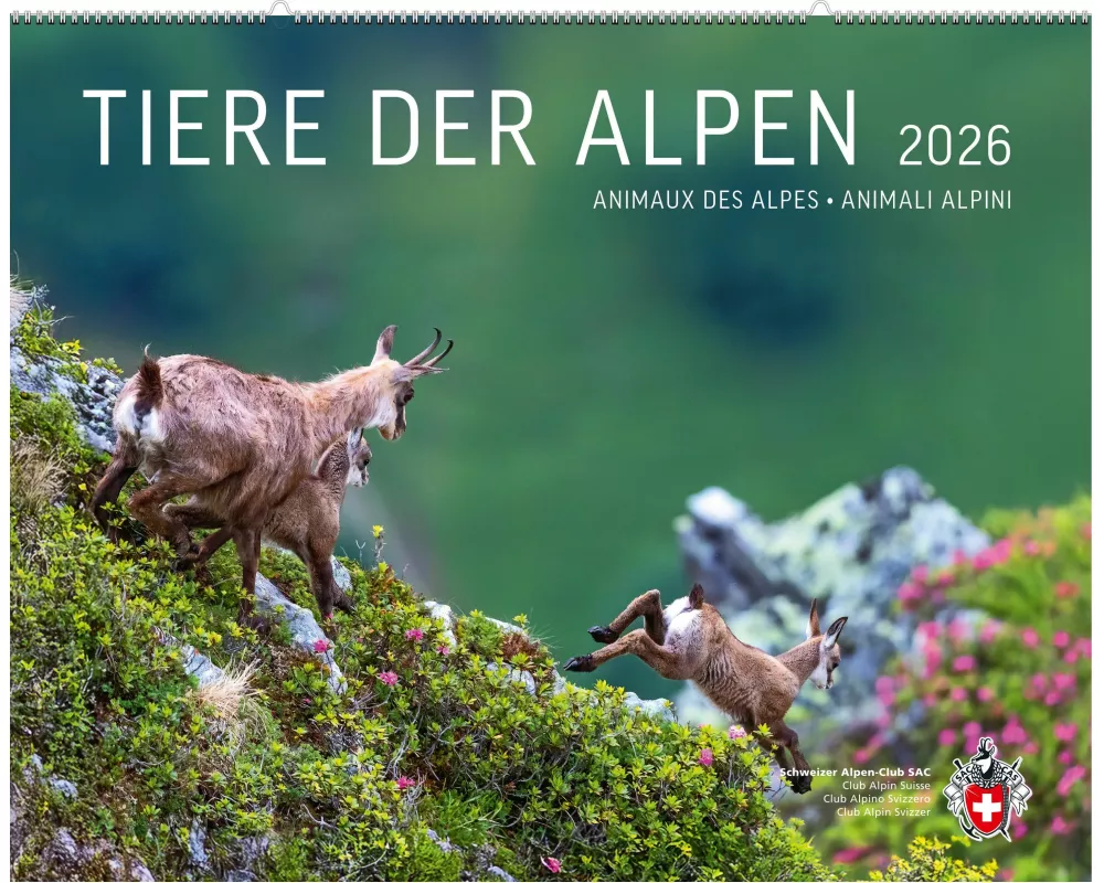 Tiere der Alpen 2026