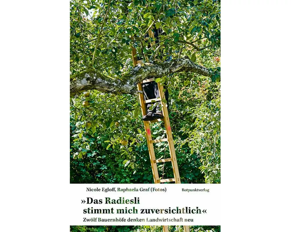 Das Radiesli stimmt mich zuversichtlich