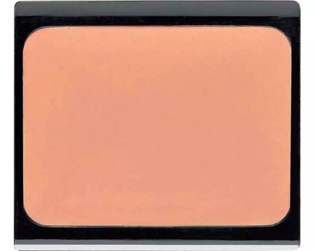 ARTDECO Camouflage Cream 49 2.5 nude