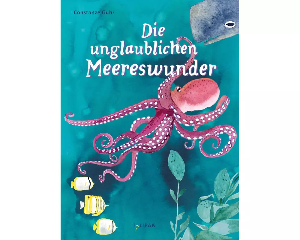Die unglaublichen Meereswunder