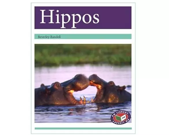 Hippos