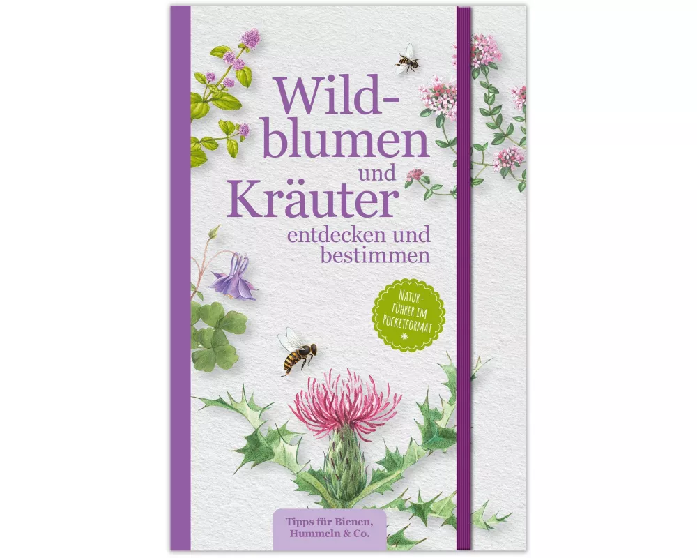 Wildblumen und Kräuter entdecken und bestimmen