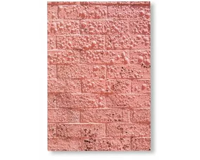 Californian Wildflowers