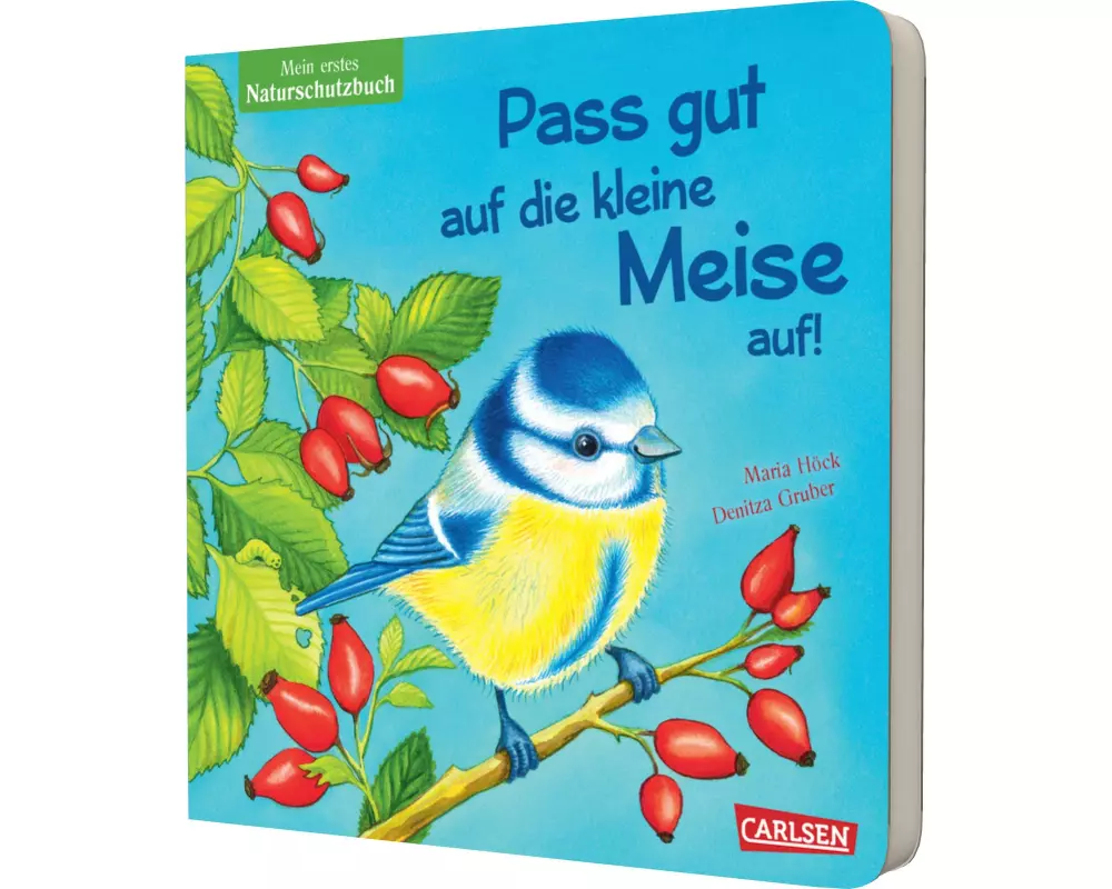 Pass gut auf die kleine Meise auf
