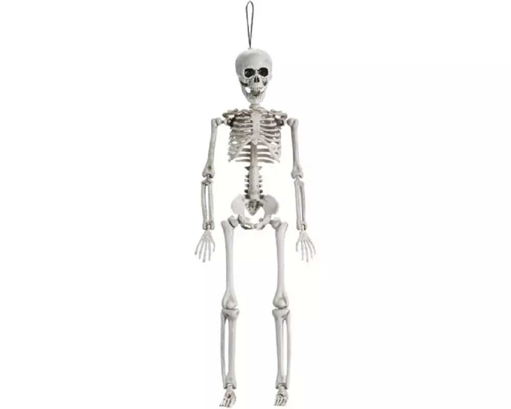Partydeco Halloweenfigur Skelett 40 cm