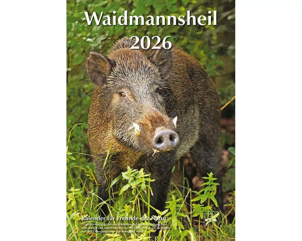 Waidmannsheil 2026