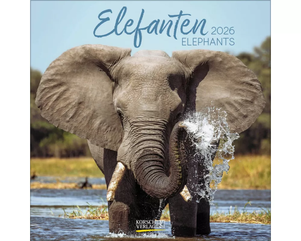 Elefanten 2026