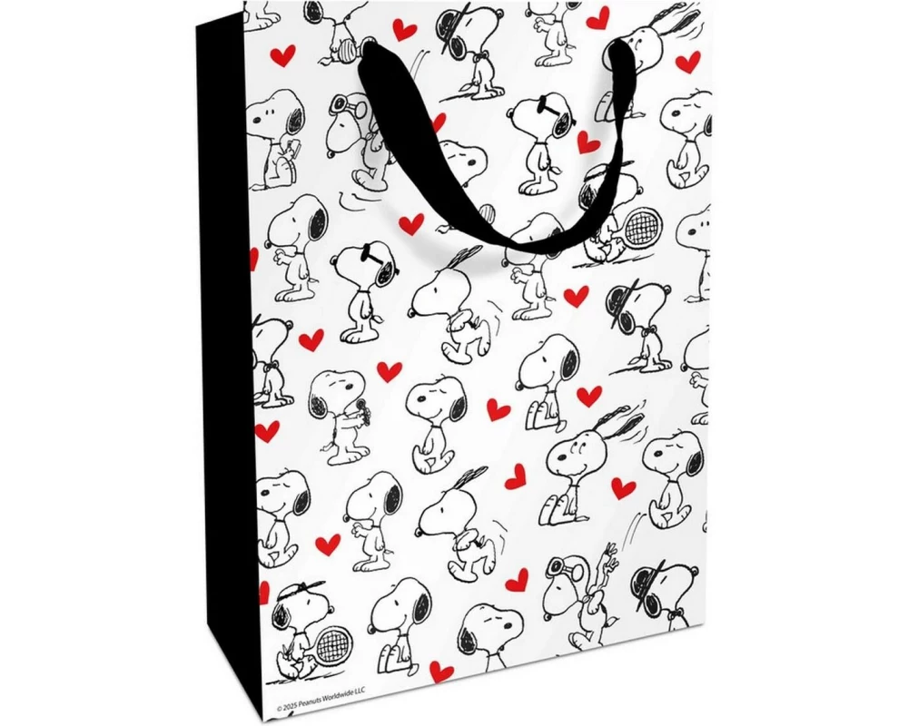 Braun + Company Geschenktasche Snoopy Infinity 24 x 36 x 13 cm