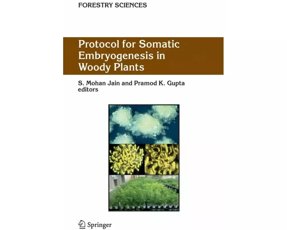Protocol for Somatic Embryogenesis in Woody Plants