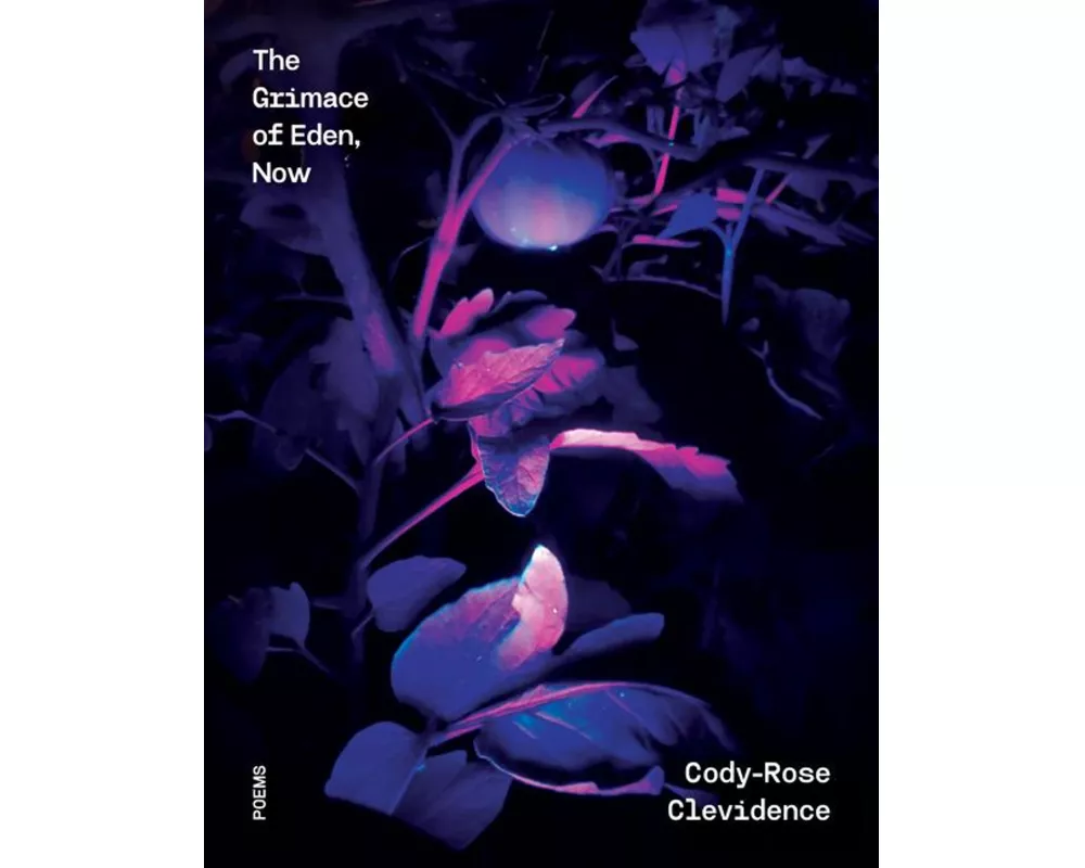 The Grimace of Eden, Now