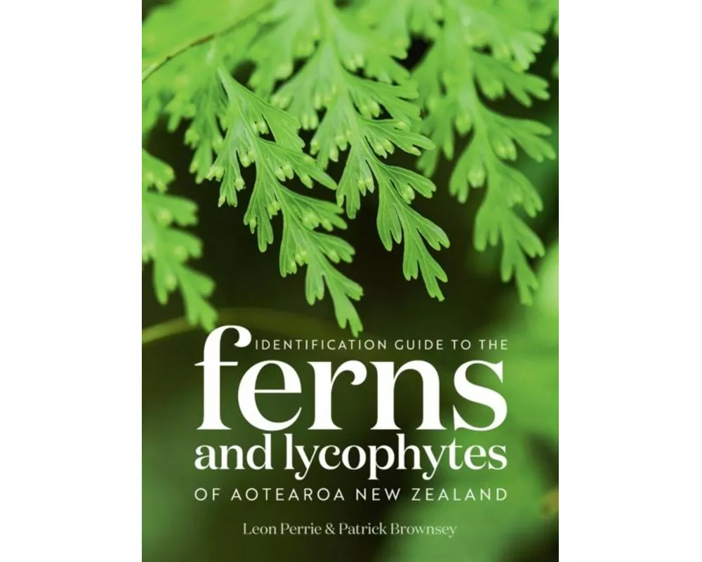 Identification Guide to the Ferns and Lycophytes of Aotearoa NZ